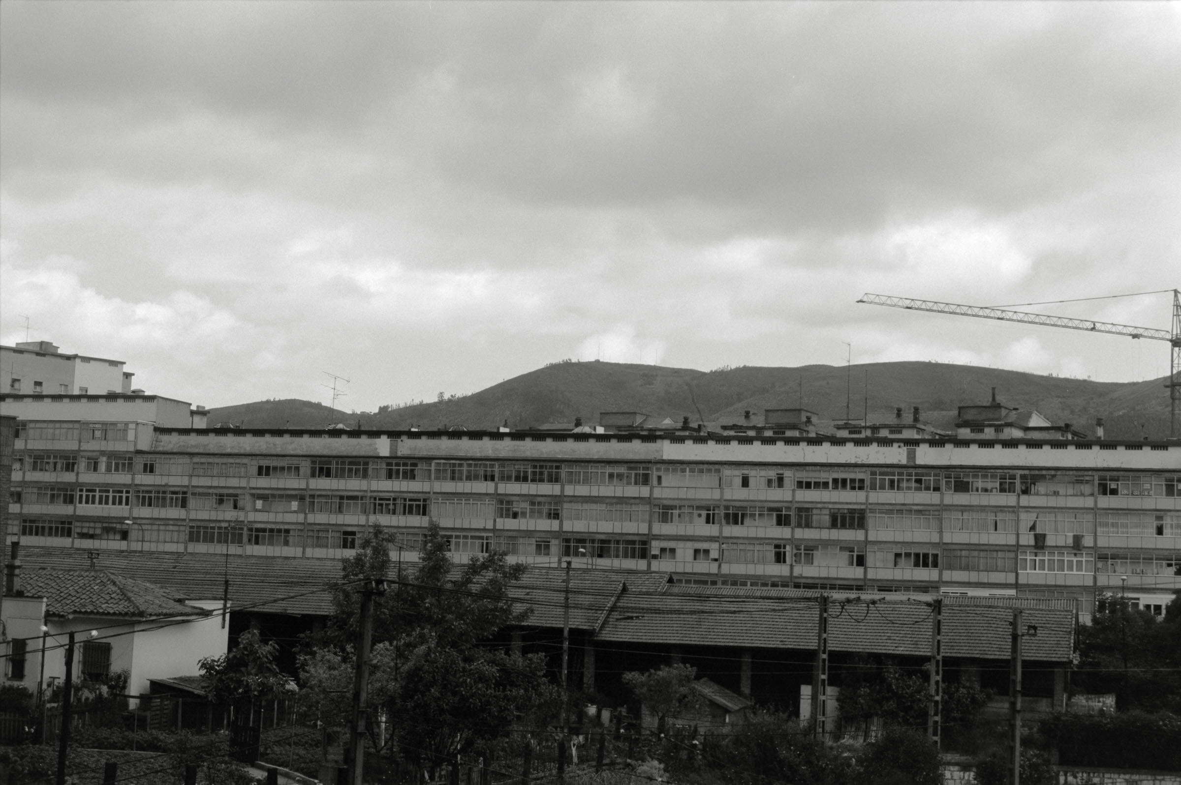 AHP F1995 05 010 sc240826 img33 NLP